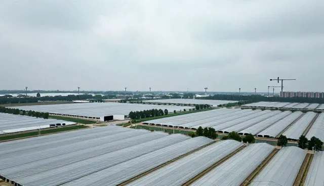 数据驱动下的性能优化与适用场景分析